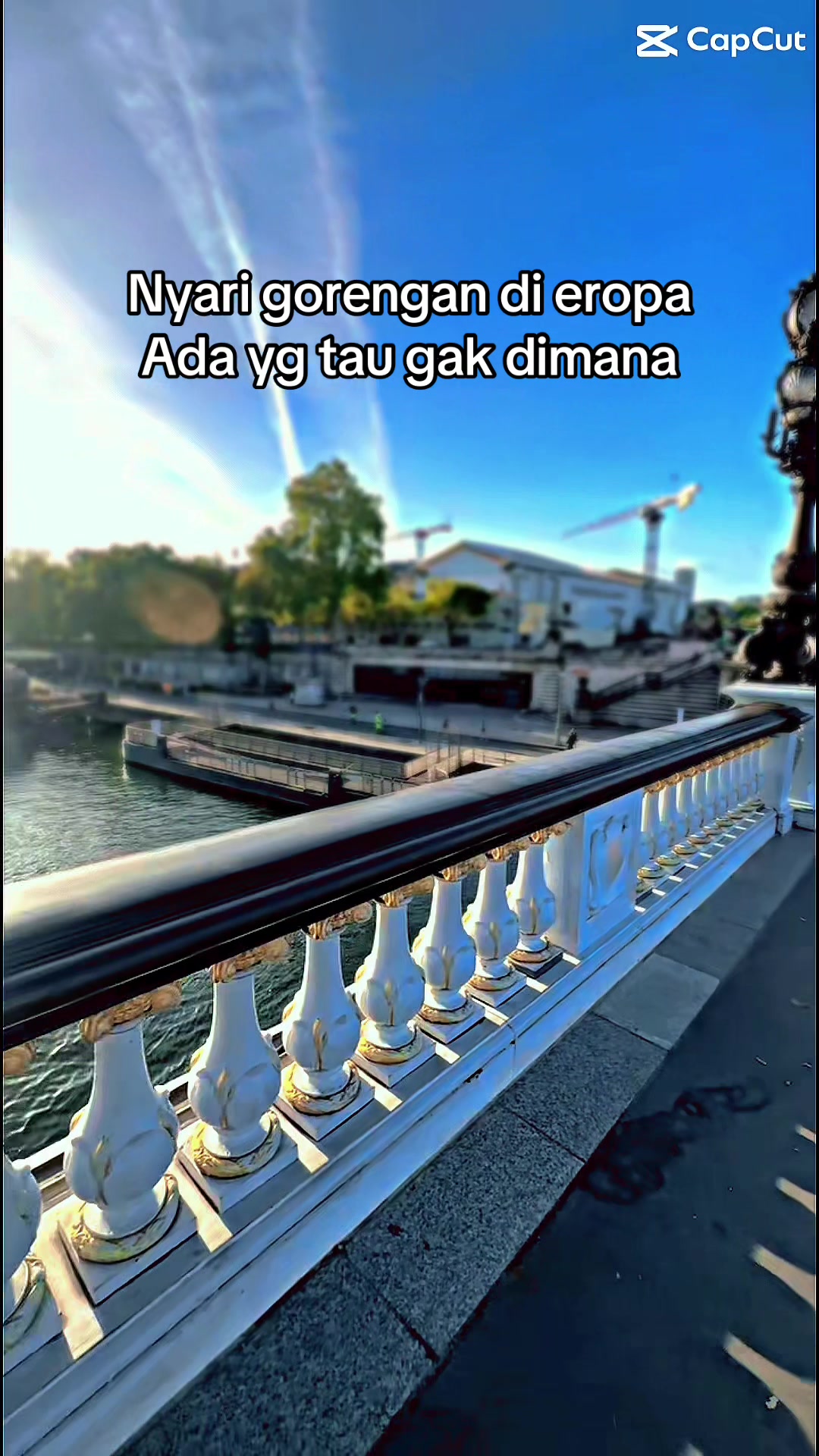 @CIMOLpedas🐬