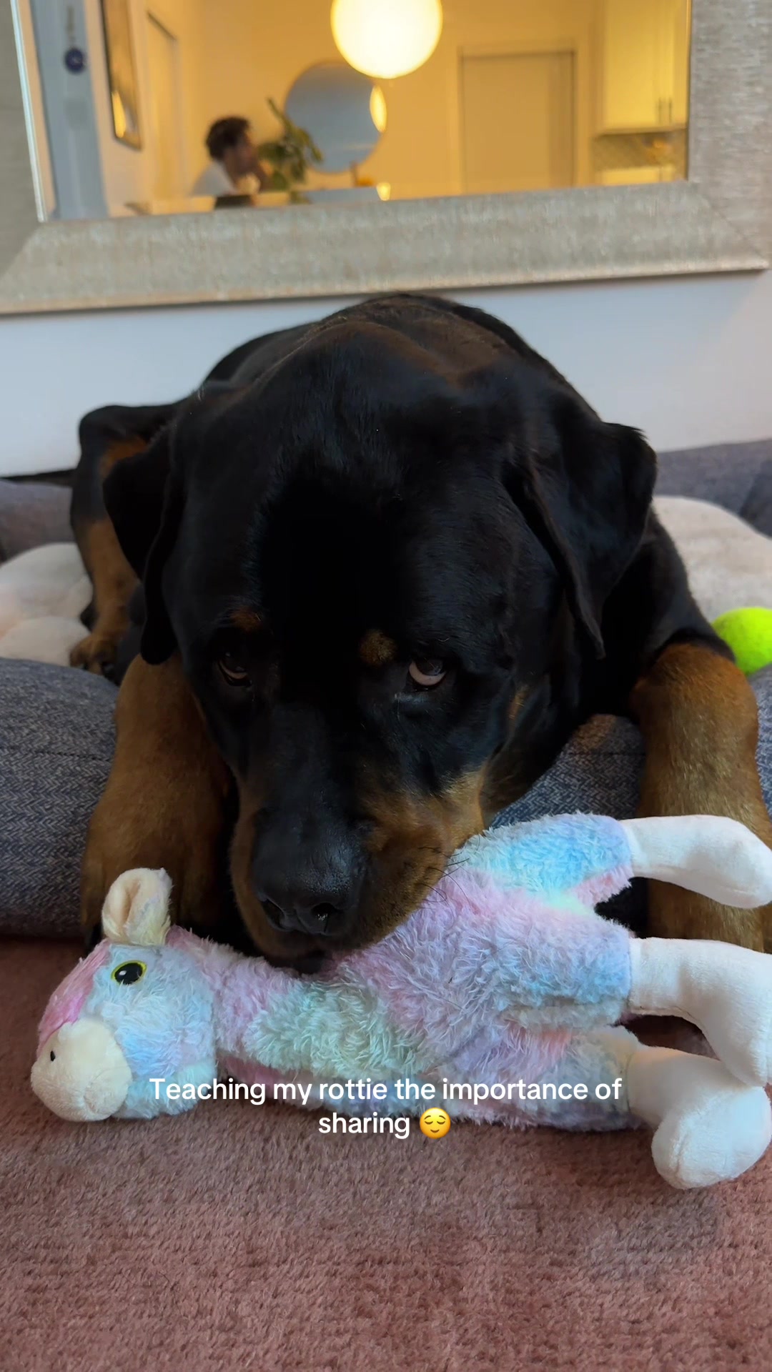 @Moose The Rottie