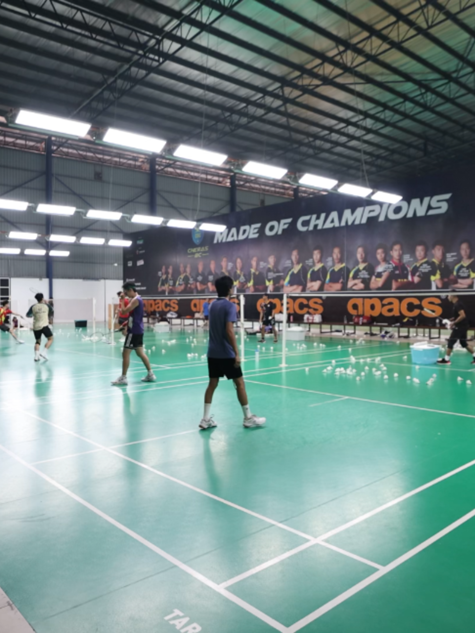 @Nigel Dollentas Badminton