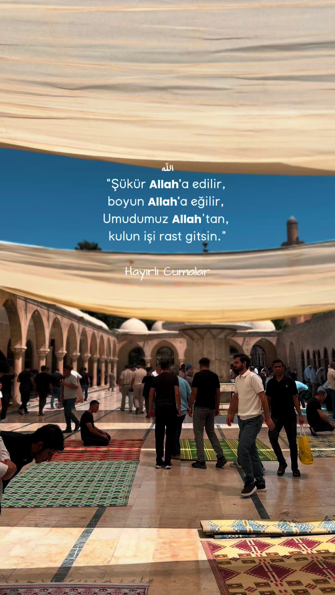 @MehmetDOGAN