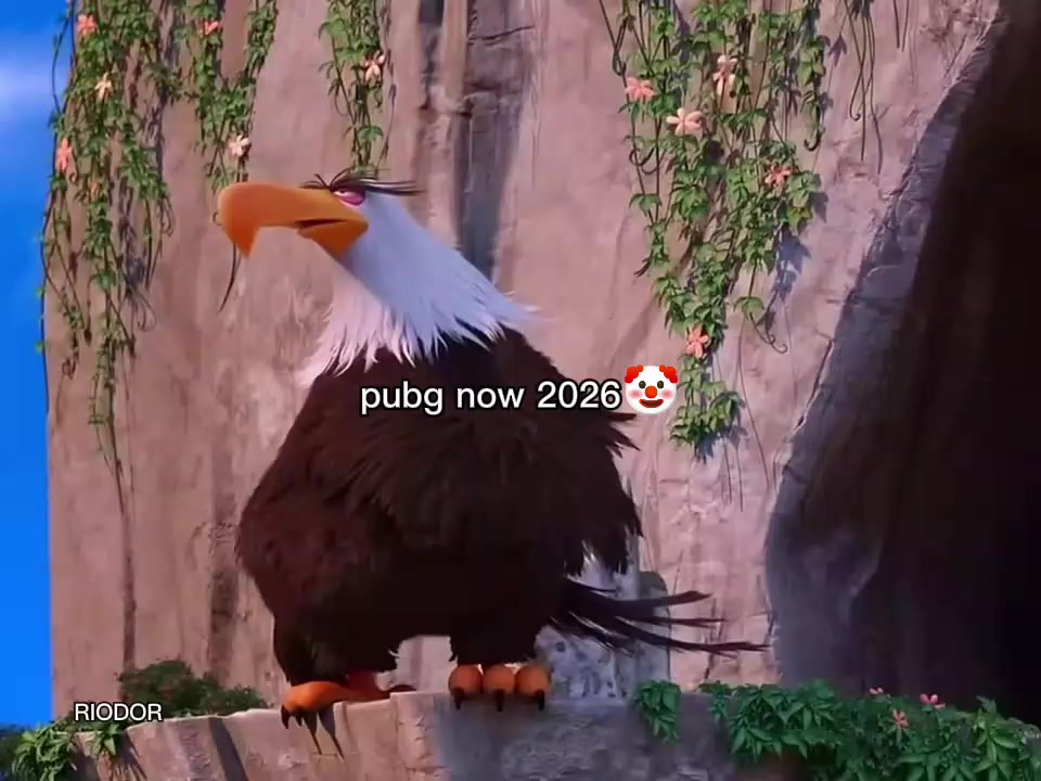@mk-Z a n y a r
