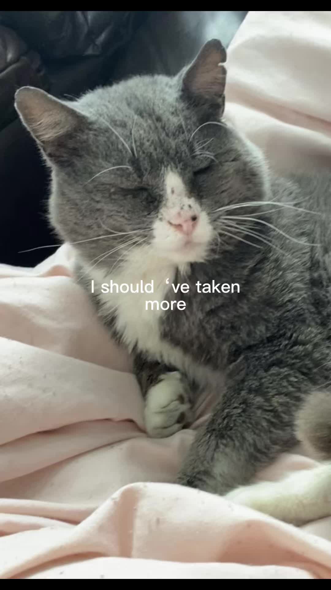 @Riley 💗
