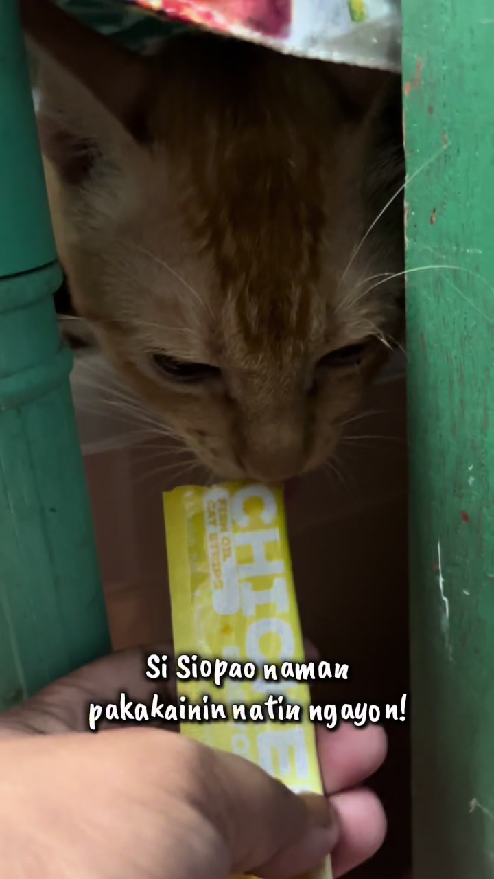 @Shye Marie ᥫ᭡