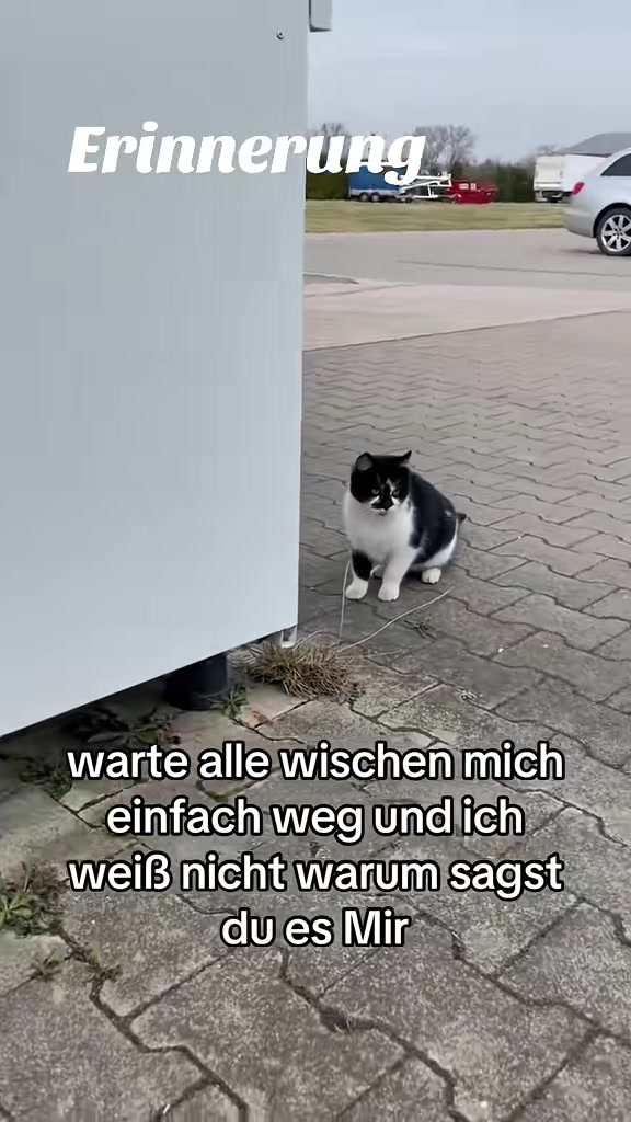 @WildlifeStreams