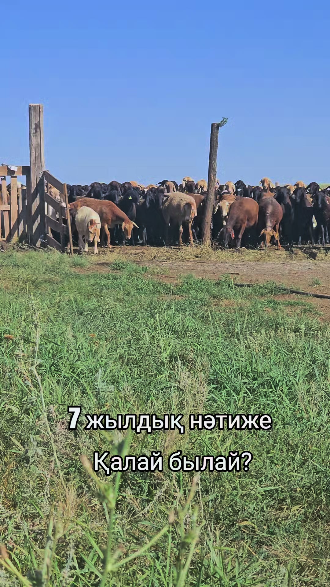 @Гани