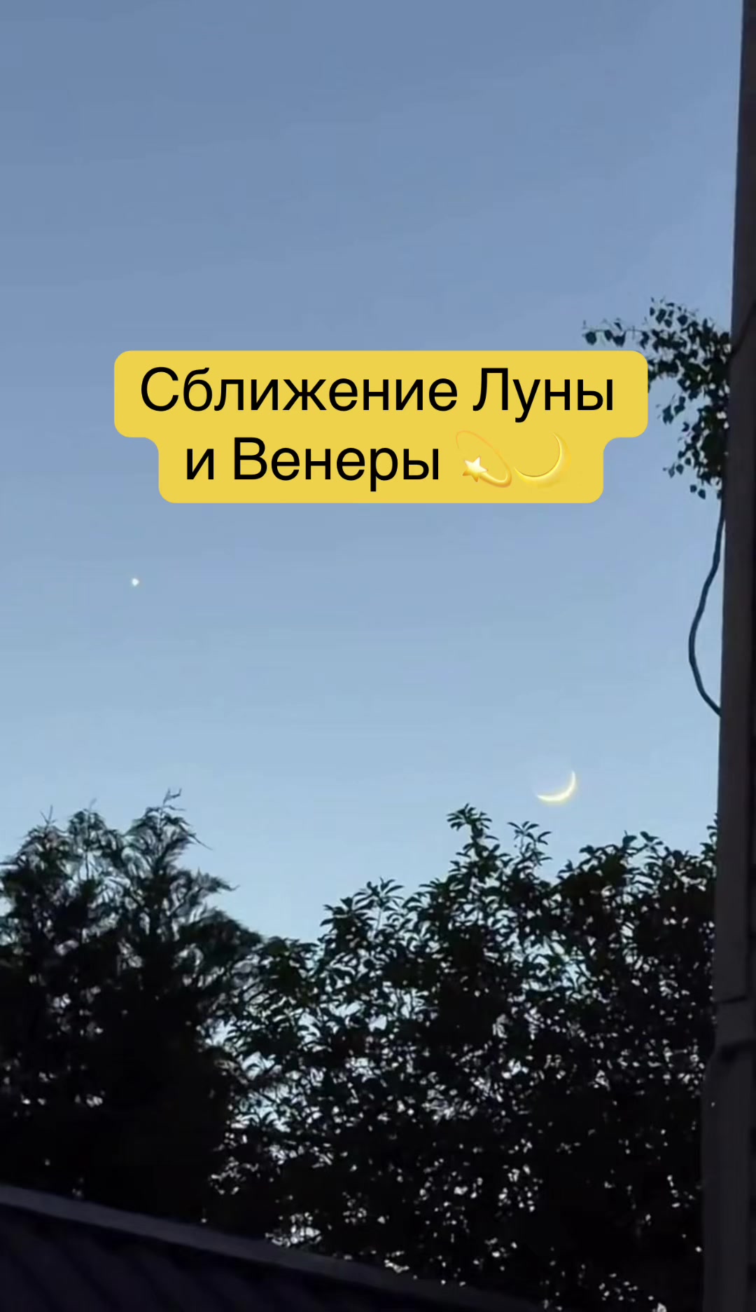 @moontaless