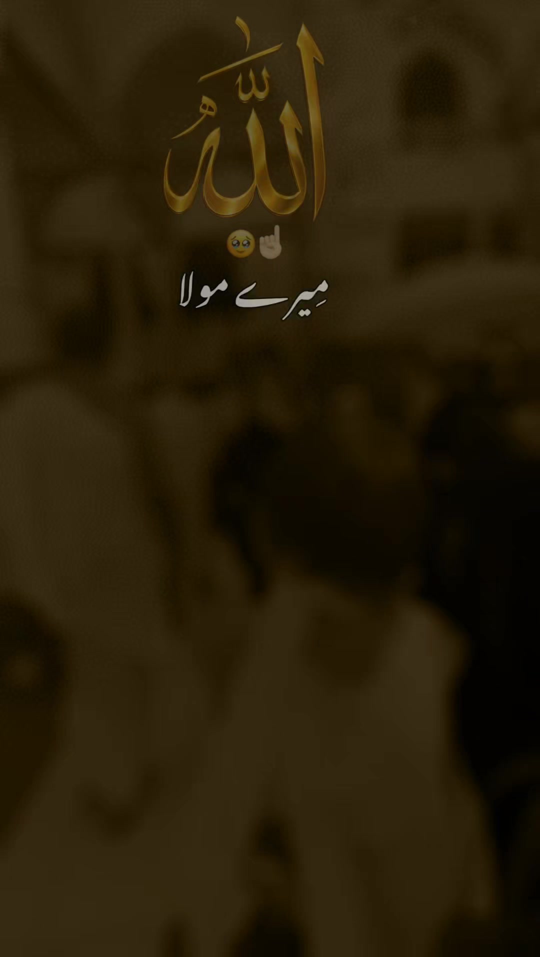@Noorfatima786
