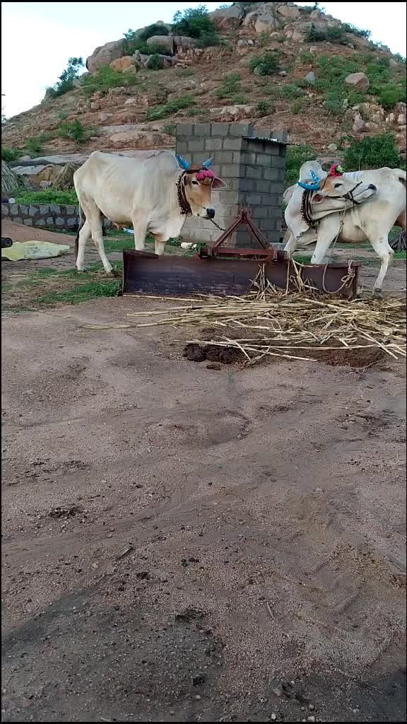 @Sharad yadav