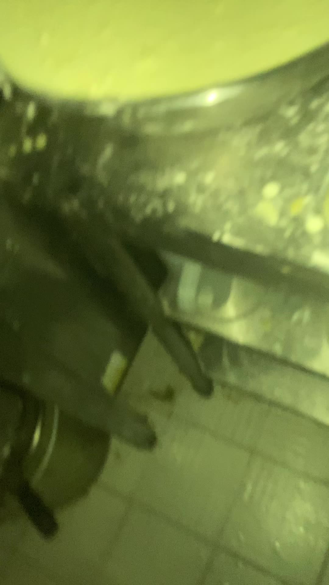 @뛰면운동걸으면산책
