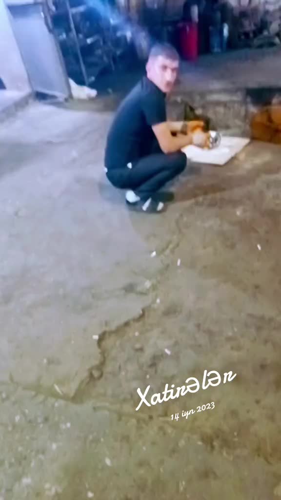 @elsever_344