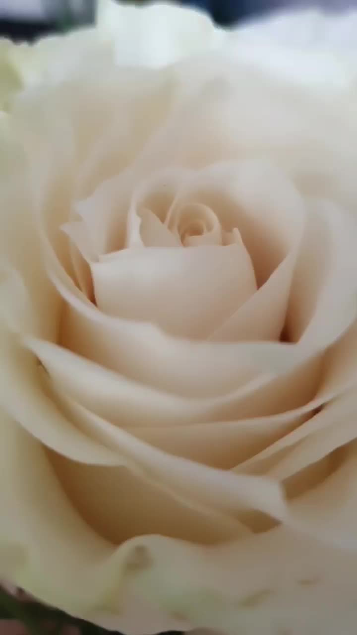 @mimmiviolaperla