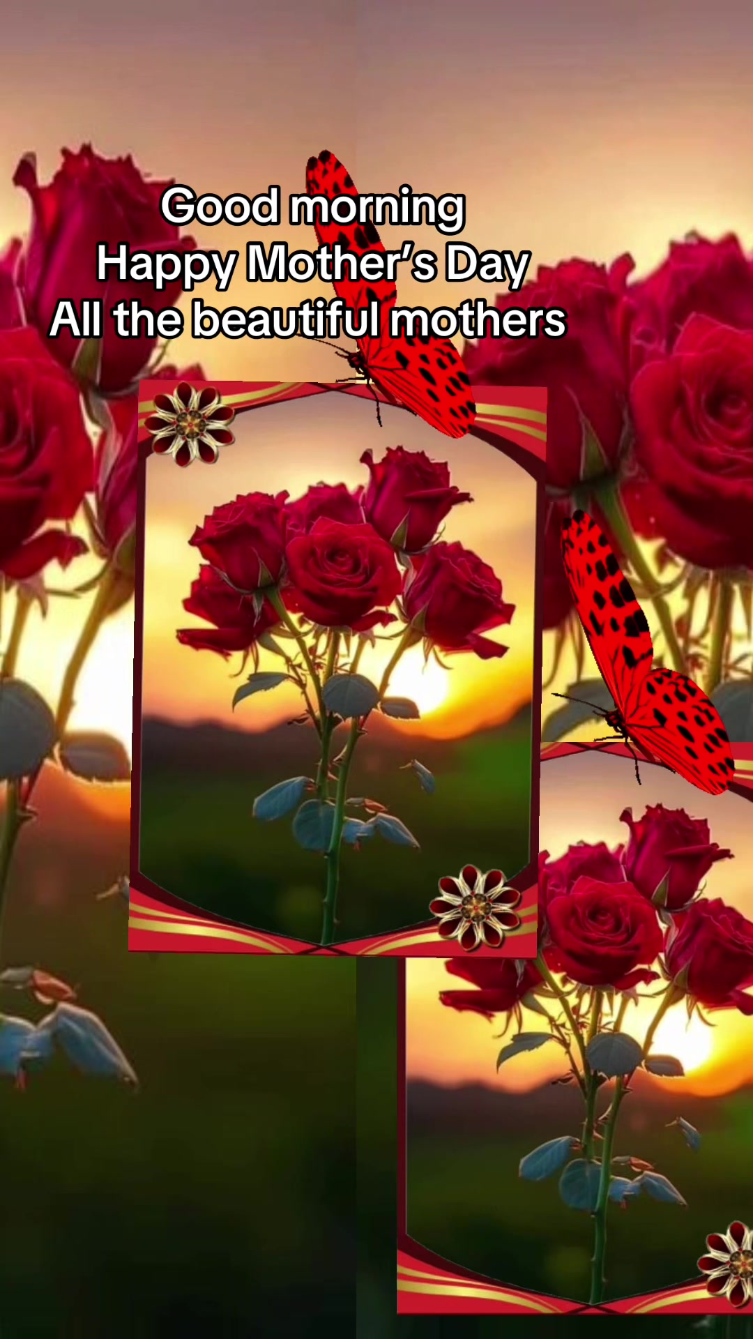 @Rupinder Malhi31