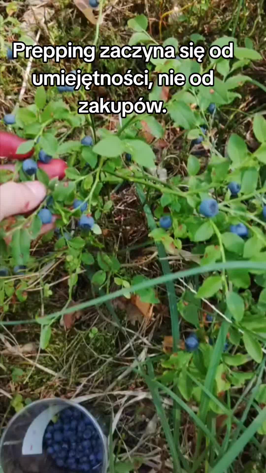 @Zielsko Szeptuchy