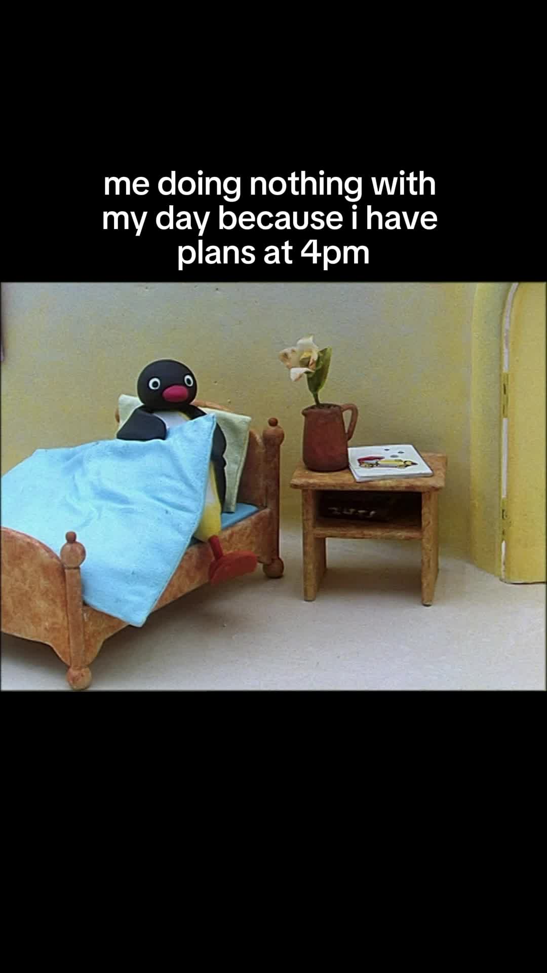 @Pingu