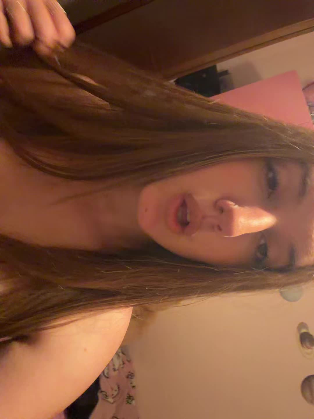 @🦈
