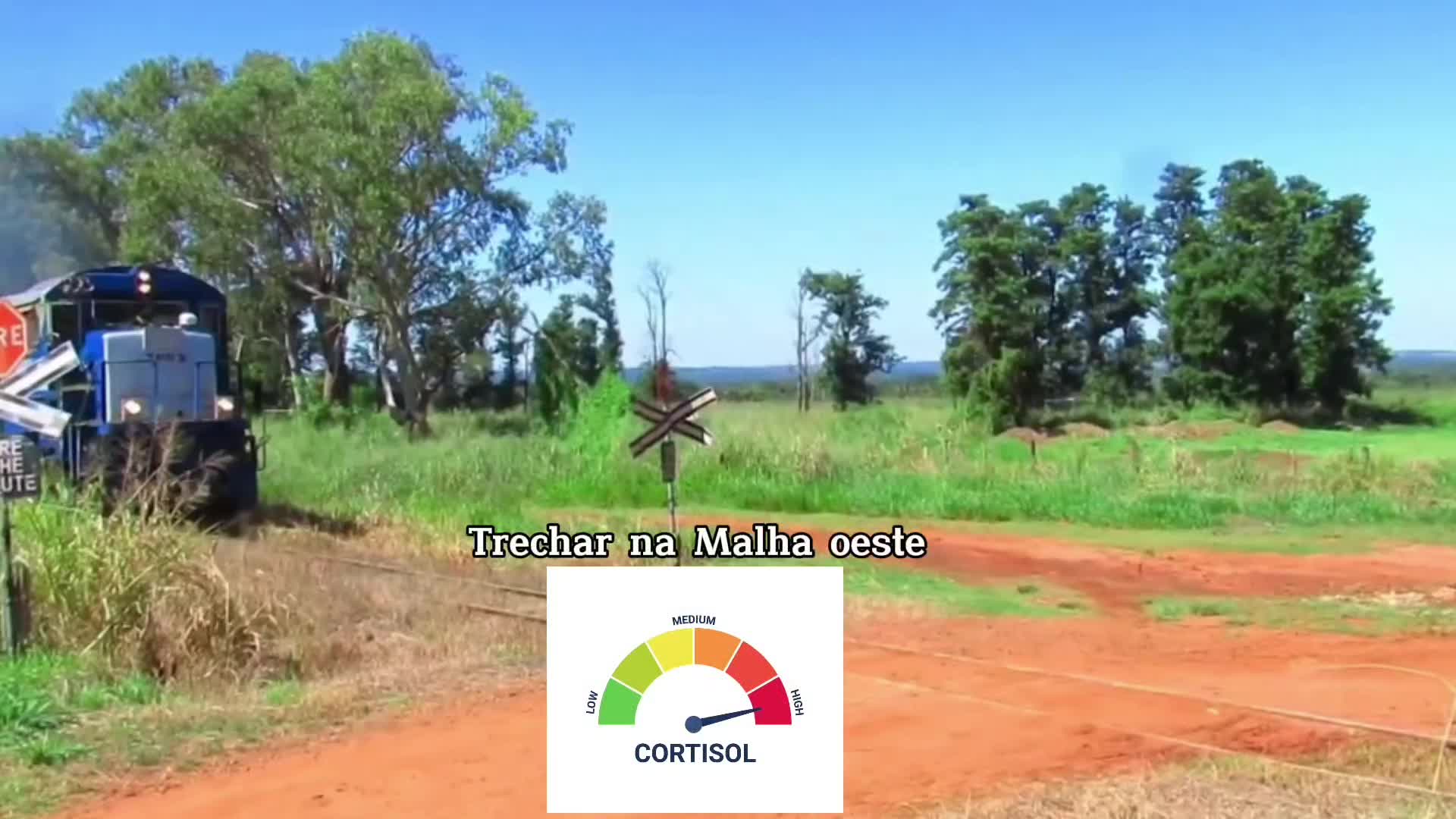 @Railfan Trens Pedro