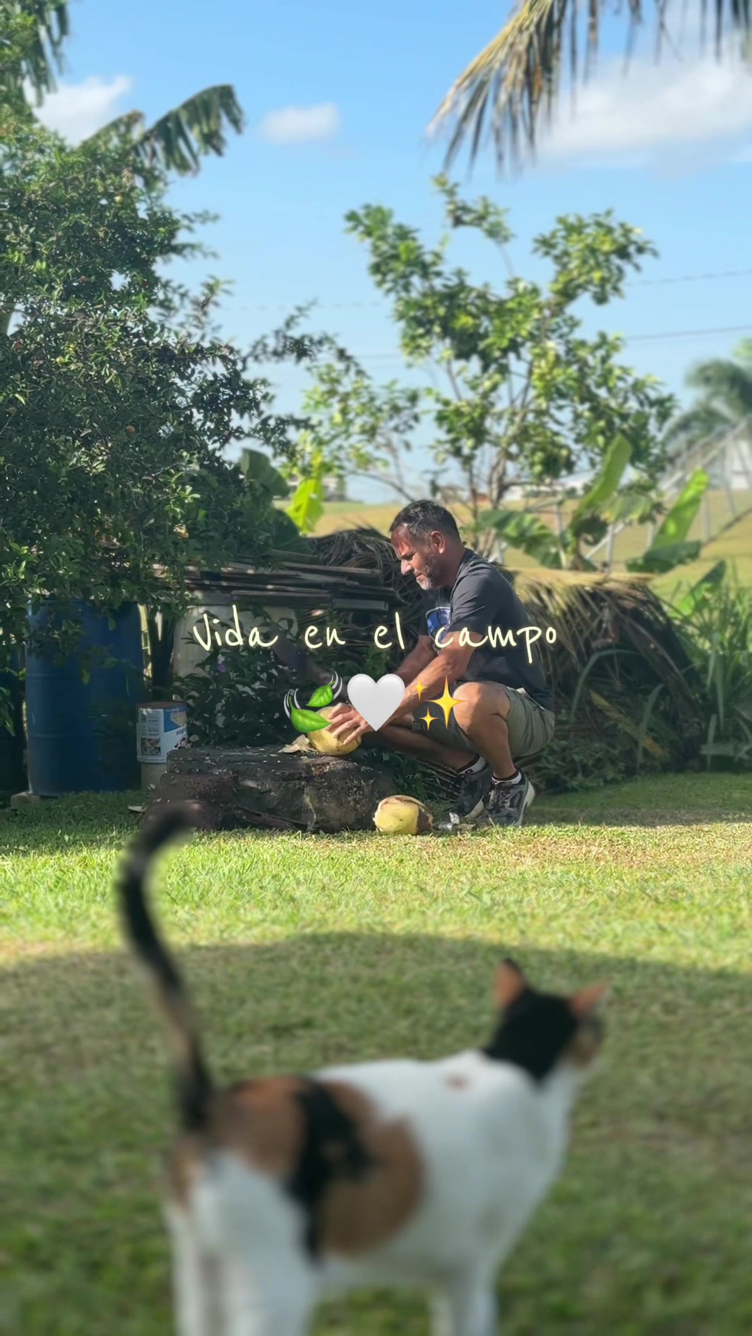 @Noelopez🤍