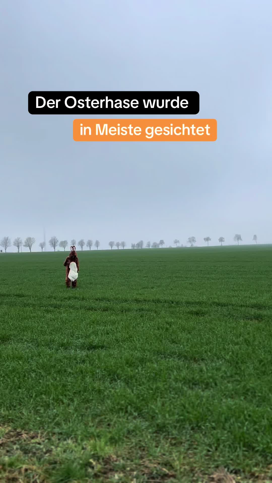 @MEISTERWERKE_azubis