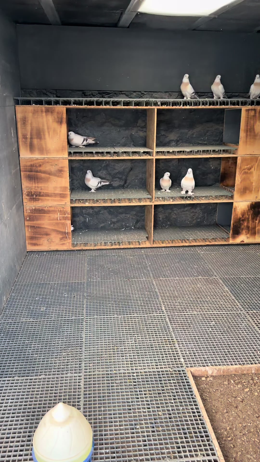@Aydın Uyumaz
