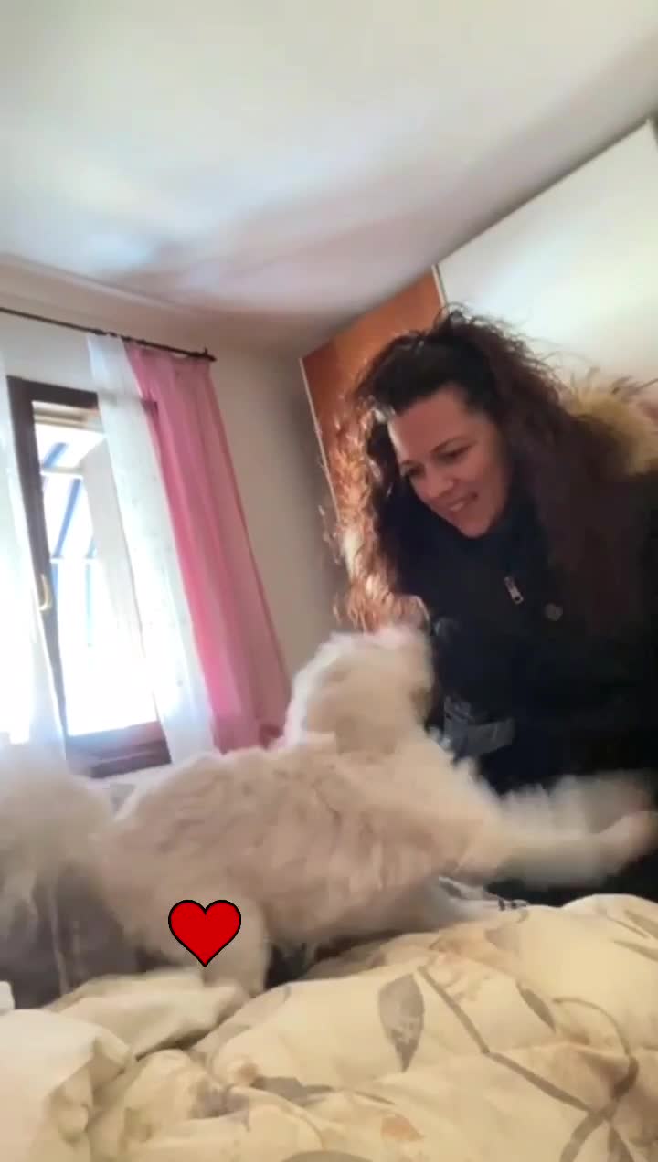 @Marvi De Lorenzis