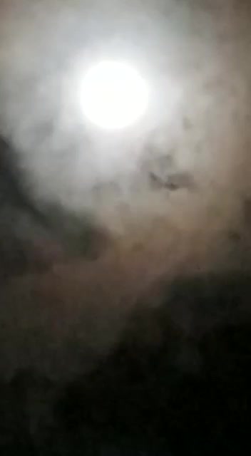 @shabana1776