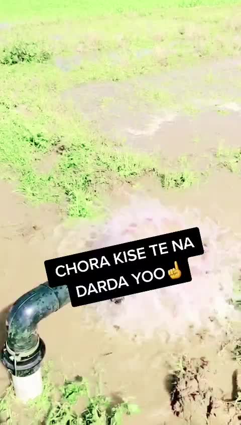 @Akshit Jain