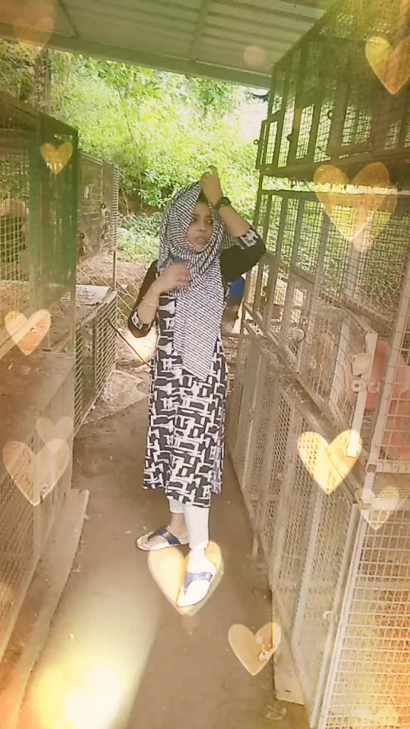 @user903531