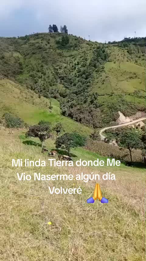 @tobias lucintuña