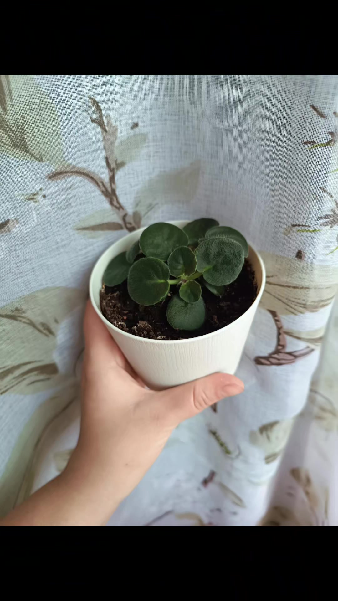 @Семья Стяговых