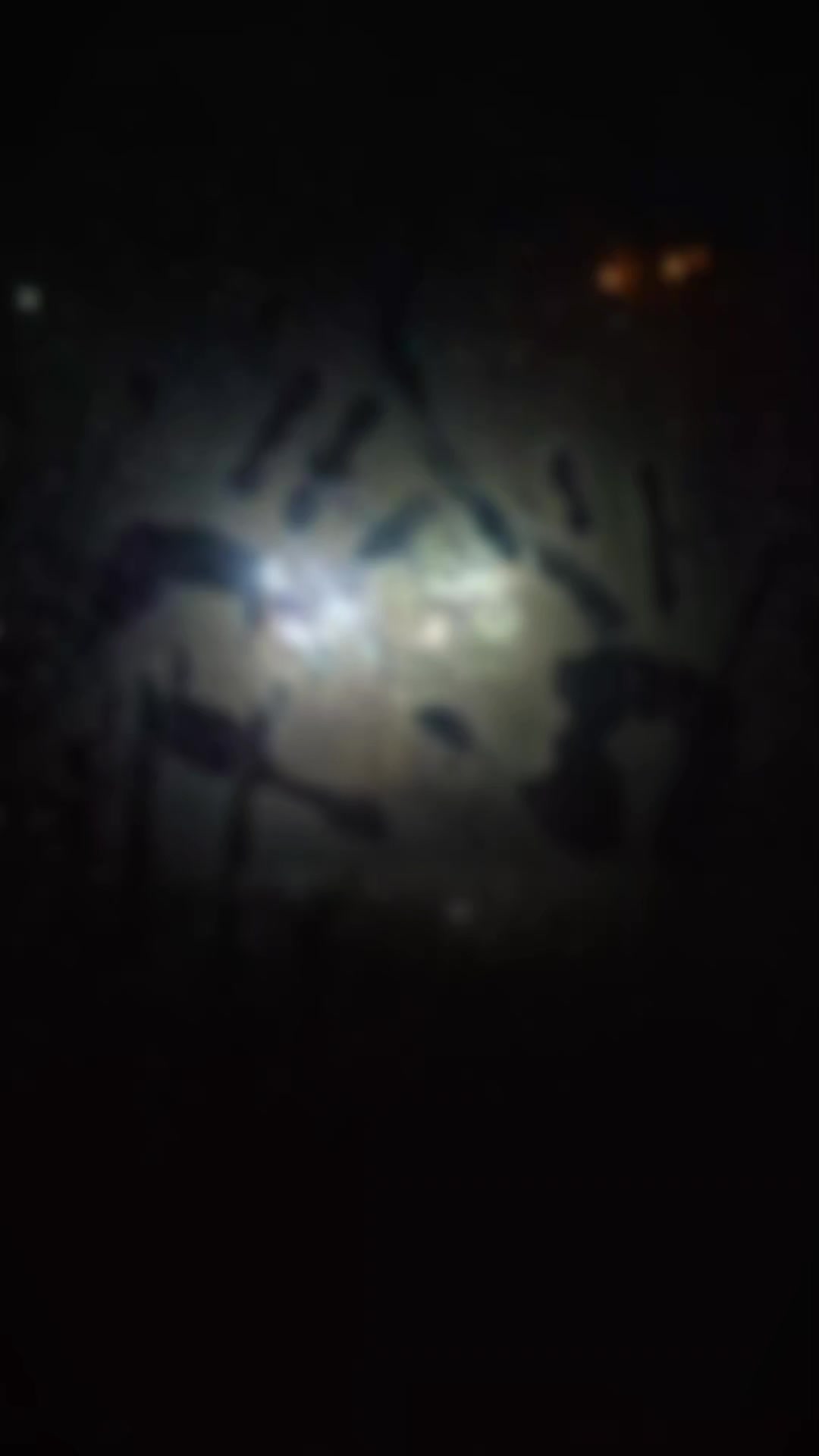 @SA बिना 💍🌒🦋