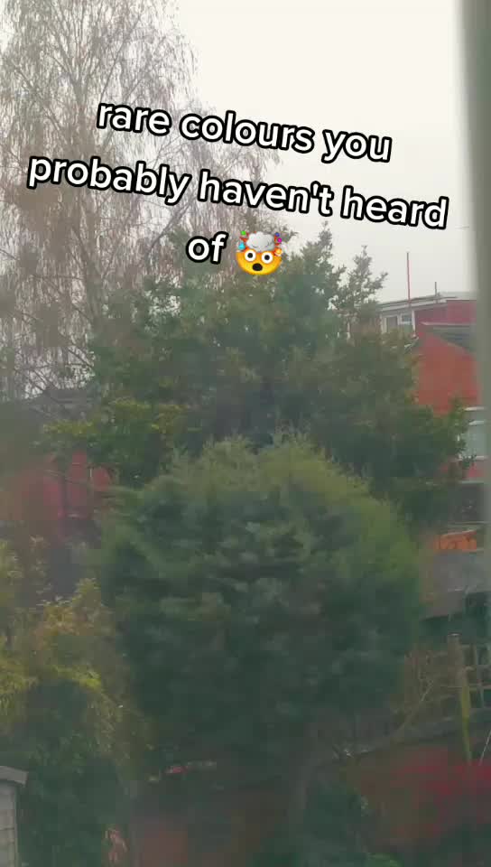 @._.