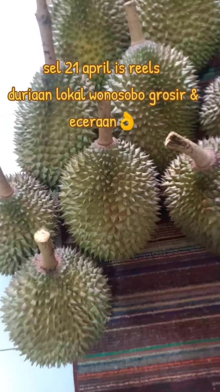 @pono duriaan wsb 🇲🇨🆗🔄🔂☎️