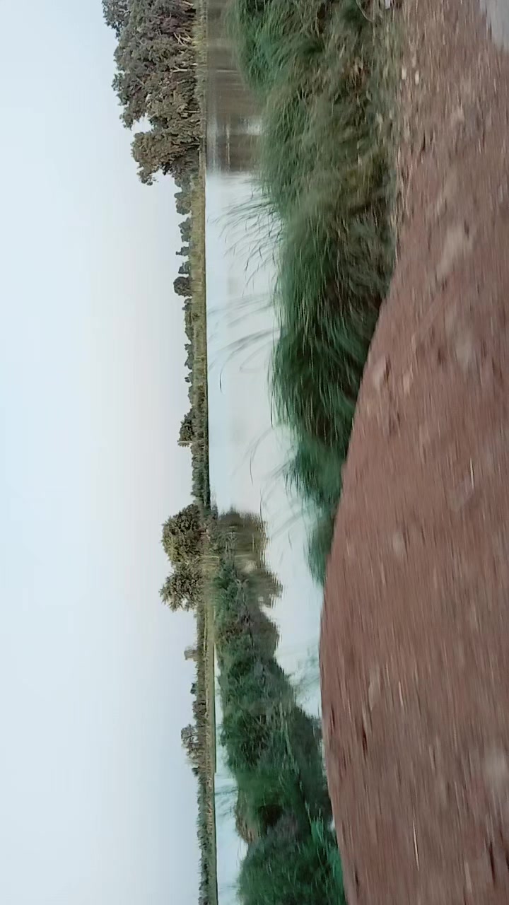 @umarrajput1391