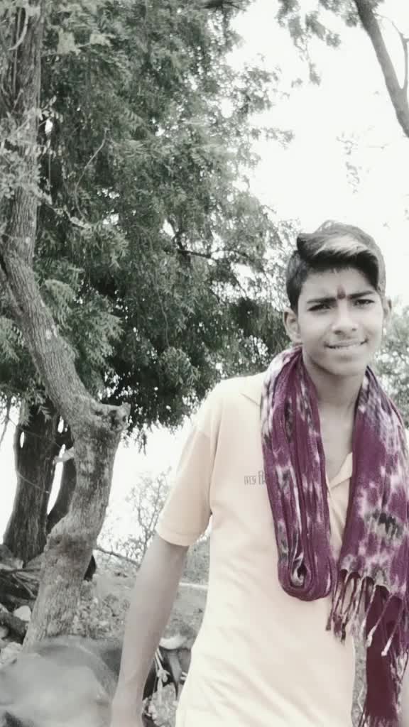 @user5031428213337