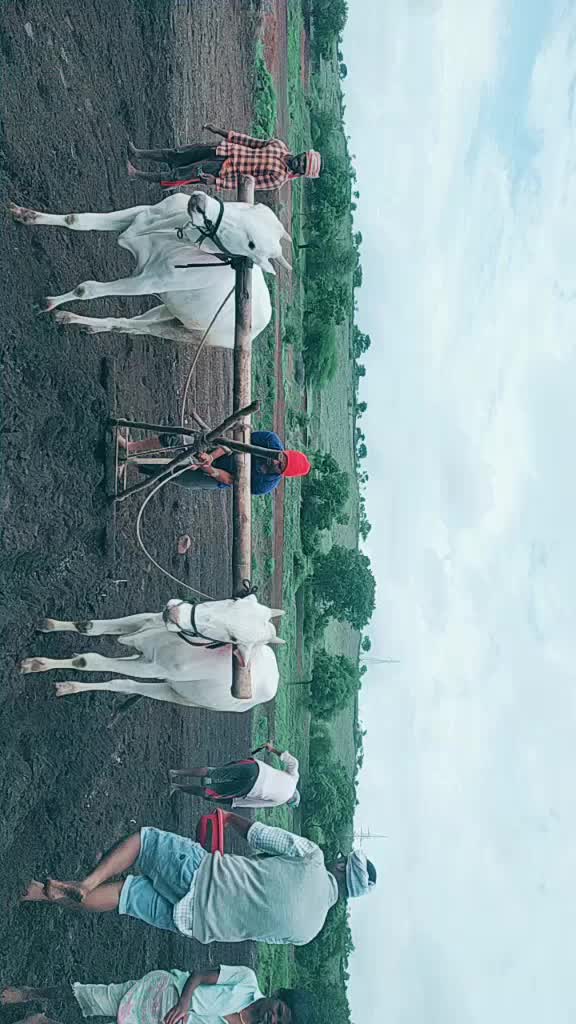 @Sudheer D K