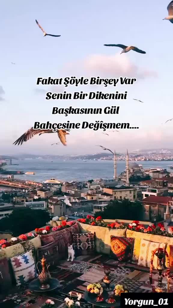 @Yorgun_01