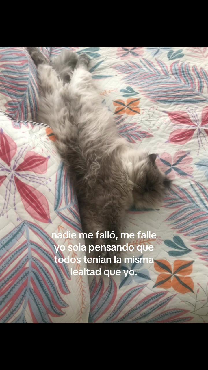 @⸎ɪsᴀᴀᴀ⁴⁴⁴☥♧