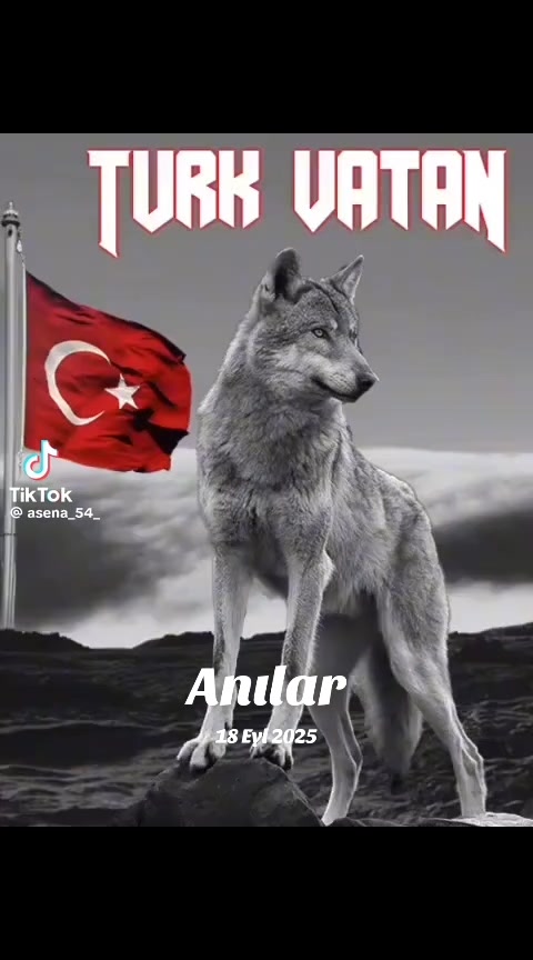 @🇹🇷Şamil_1987🇹🇷