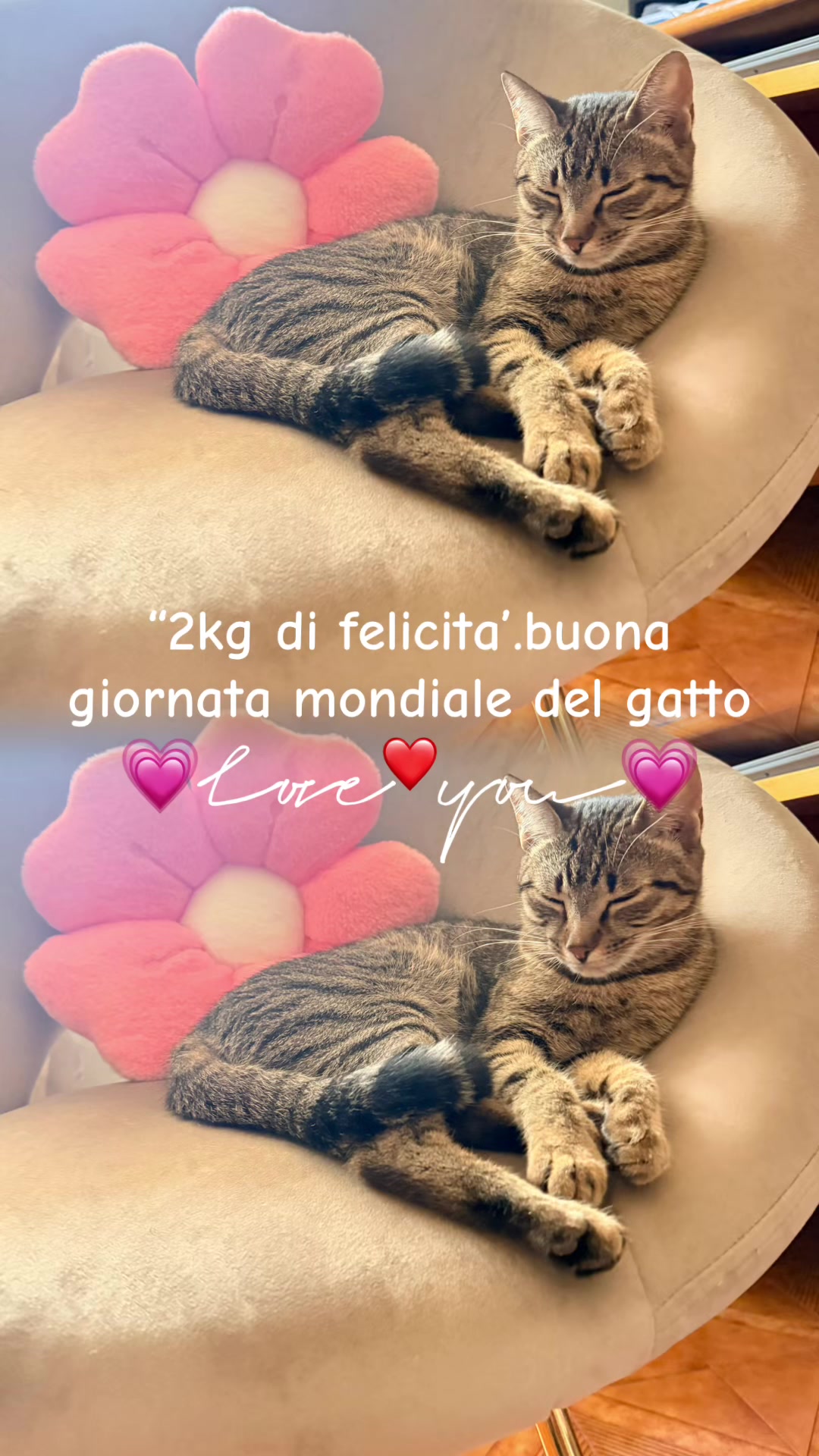 @Lallaspank
