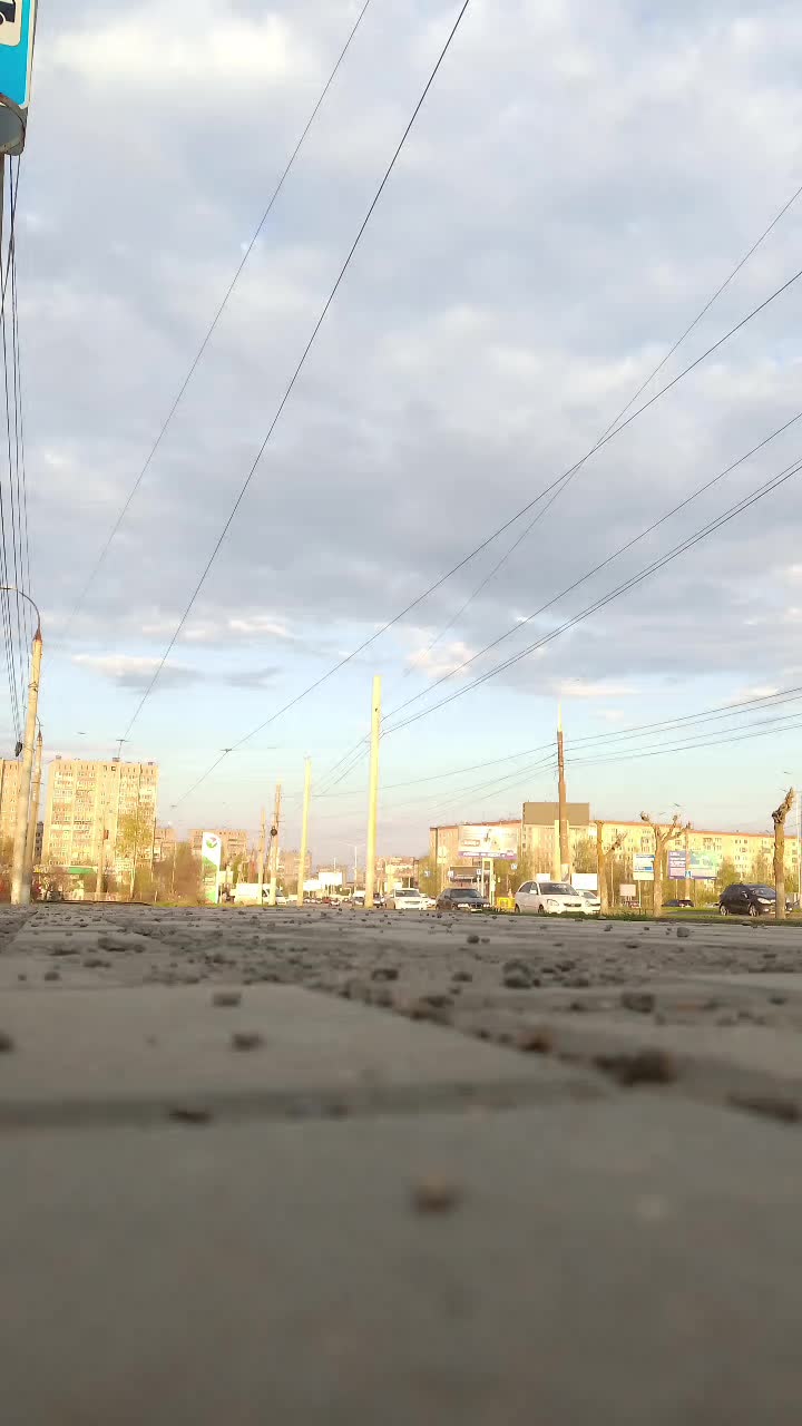 @Жувачка_MDZ🗣️