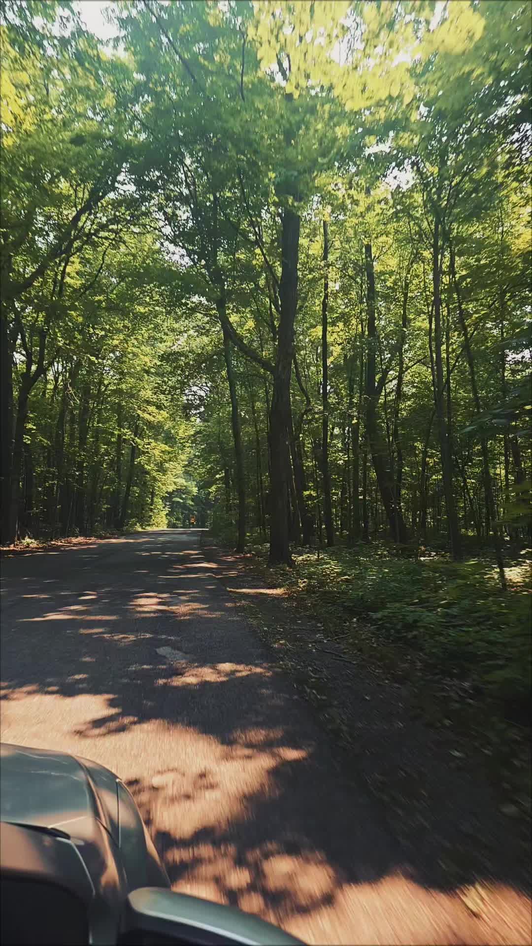 @wildspirithippie