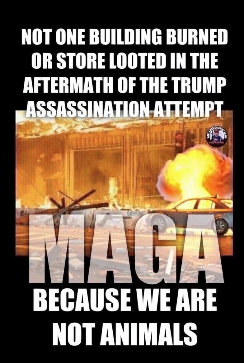 @MAGA MEME CZAR
