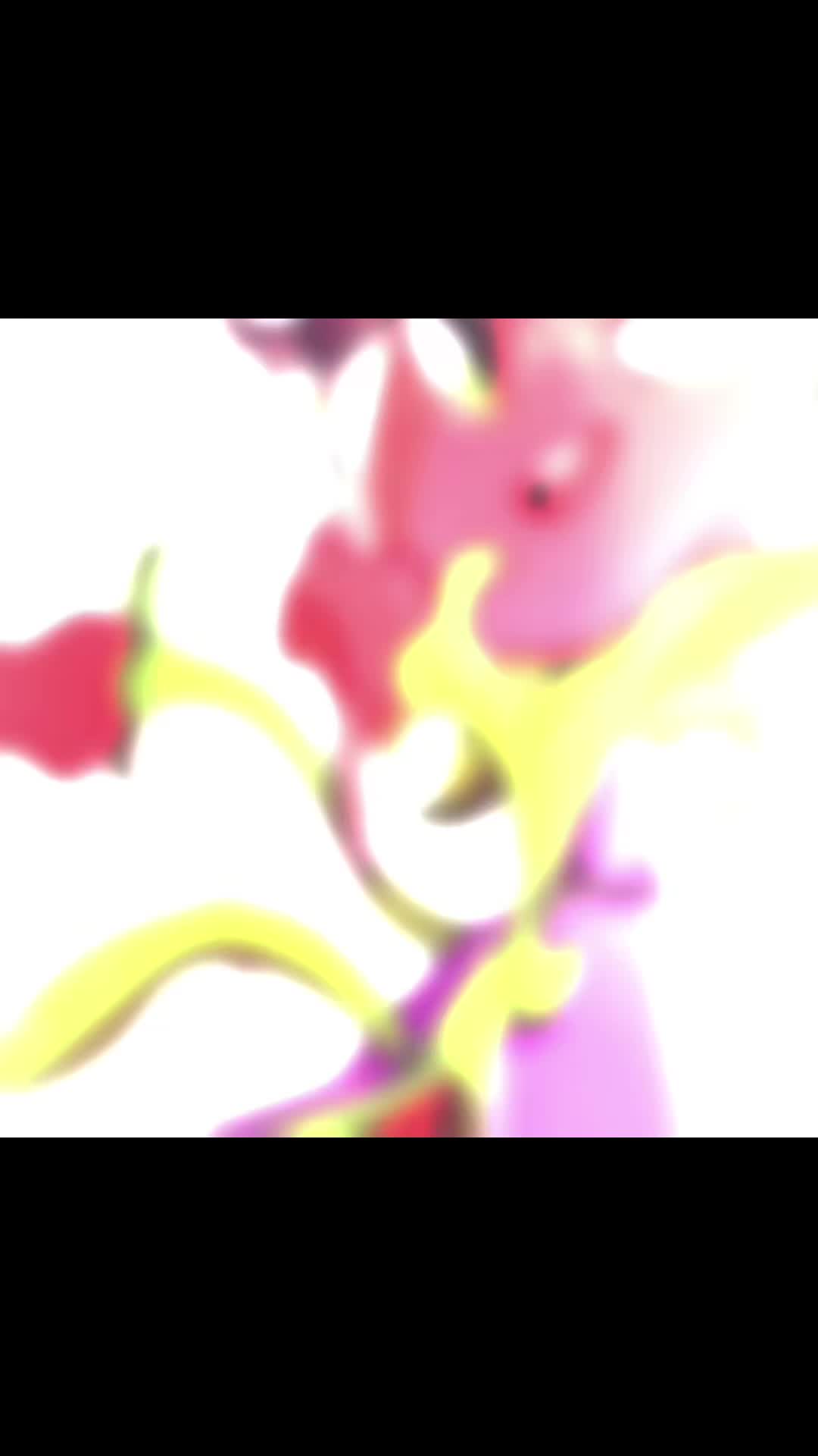 @JoJo