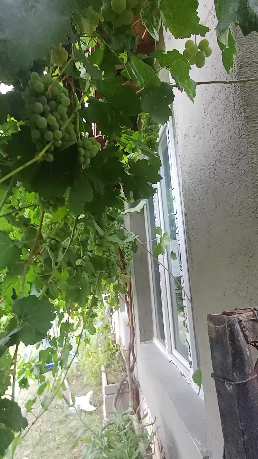 @ÇANKIRILI.KURTBEY