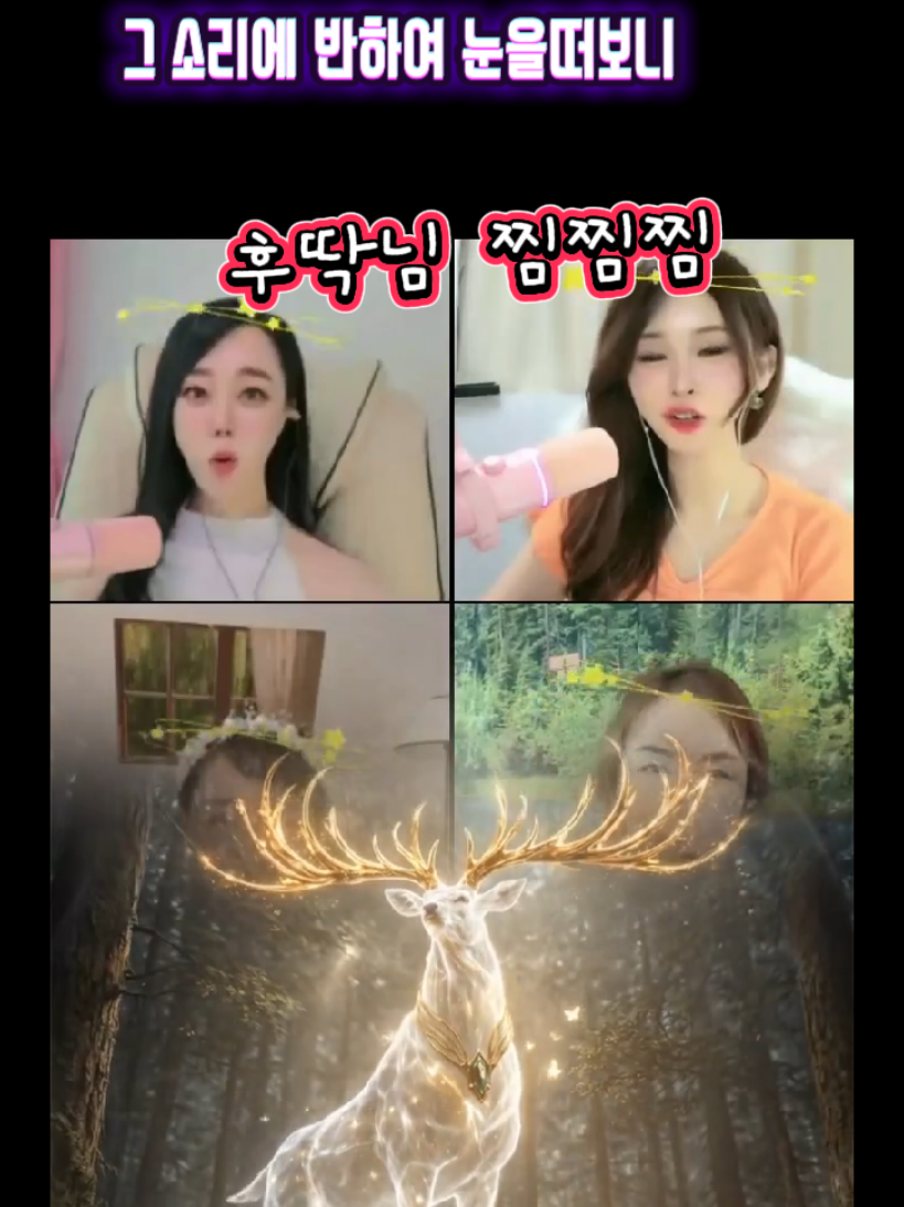 @8/14๐1์ฃผ๋
๋ฆผ๋ฅ๐์ด์ฌํํ๊ฒ ์ด๋