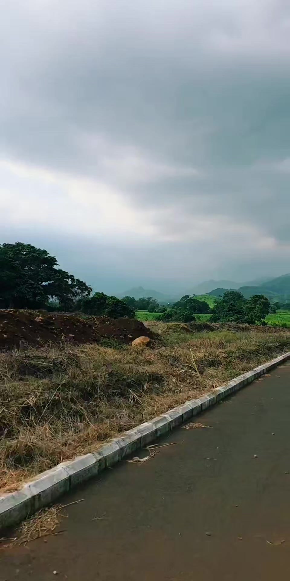 @MARTÍNEZ WILLIAM BIENES RAÍCES