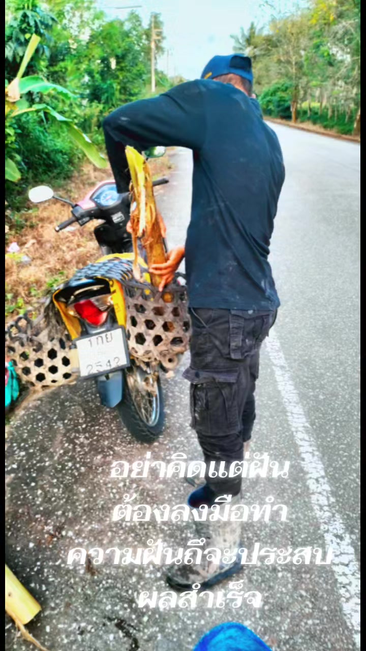 @sirirut