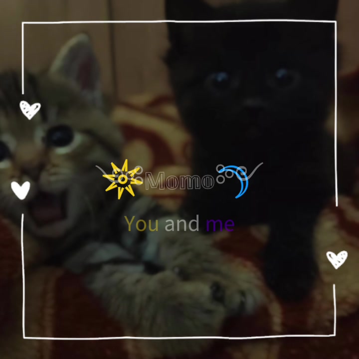 @Ну тип я хз