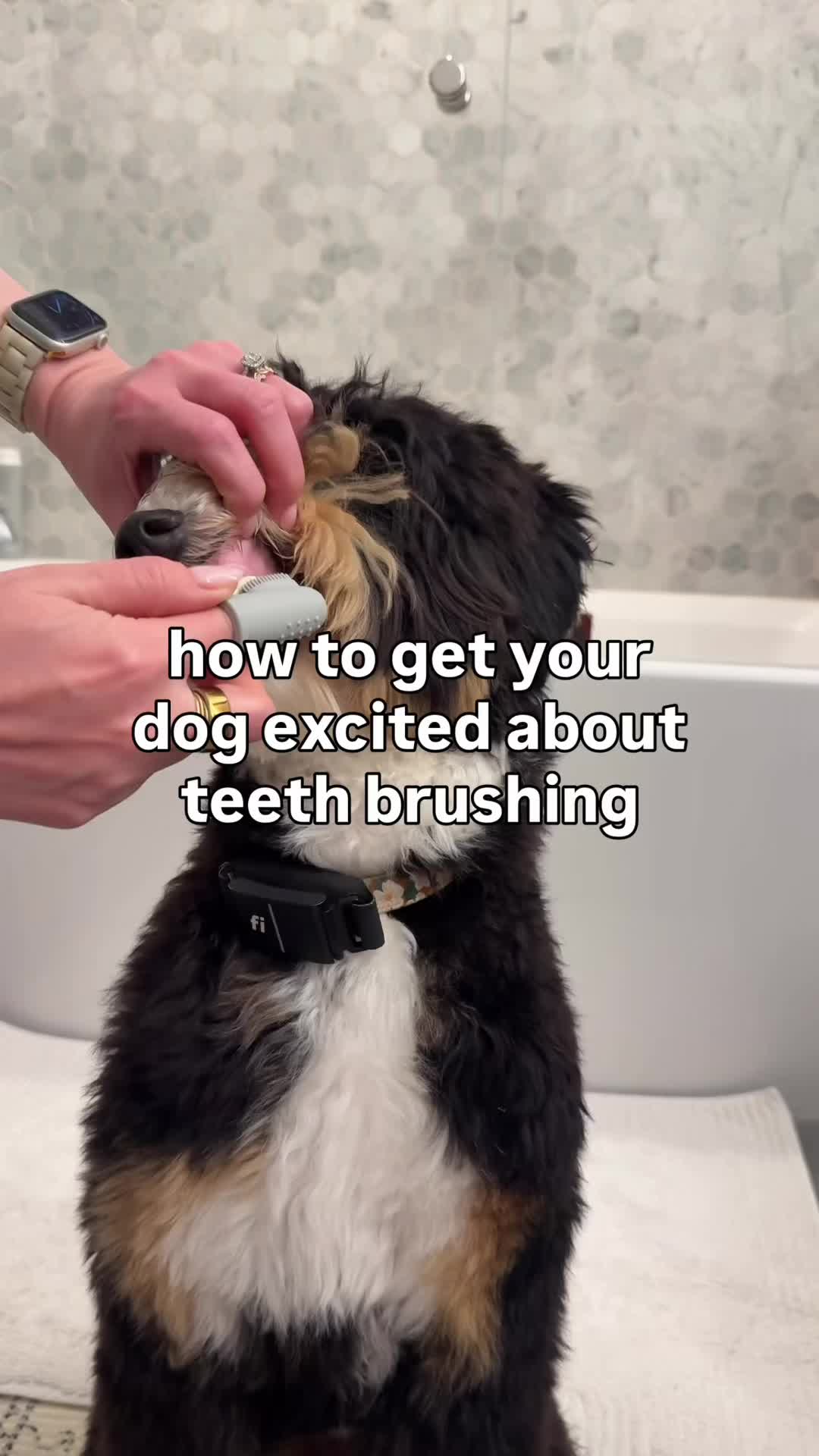 @Pupwell