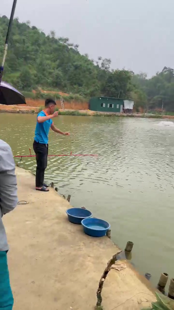 @Đồ câu nga hoàng